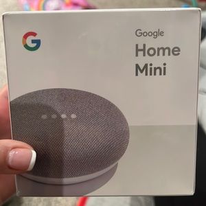 Brand new google home mini